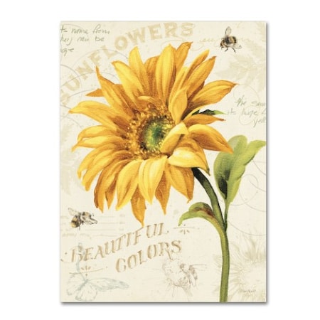 Trademark Fine Art Lisa Audit 'Under the Sun II' Canvas Art, 18x24 WAP0222-C1824GG